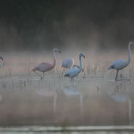 מלון Restaurant Kloppendiek 3*