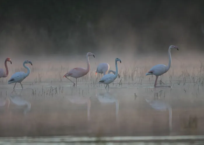 Otel Restaurant Kloppendiek 3*